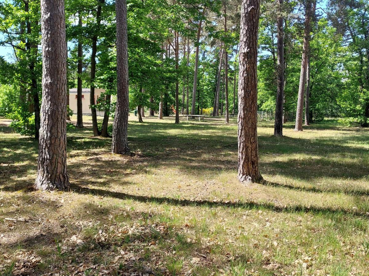 Camping Onlycamp Les Pins Nancay ภายนอก รูปภาพ