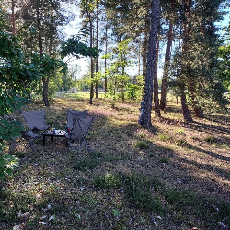 Camping Onlycamp Les Pins Nancay ภายนอก รูปภาพ